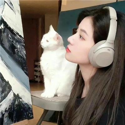 中国兵王